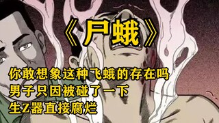 民间怪谈：尸蛾