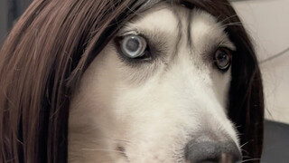 不能说毫无关系简直一摸一样