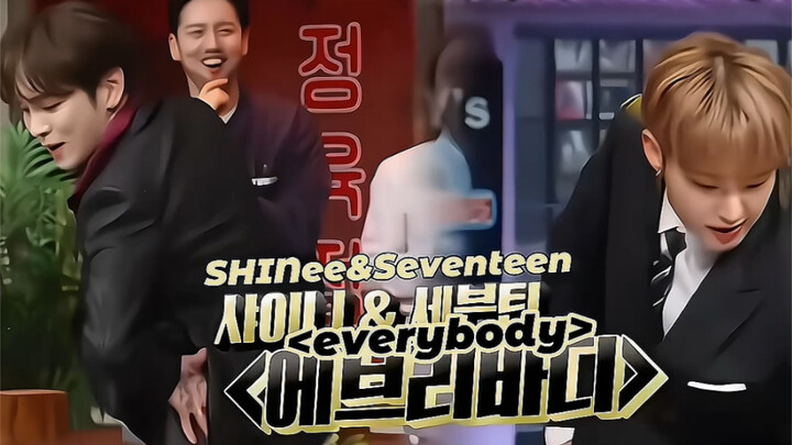 آلاف الحيطان، لكن الحبيب الأصلي لا يمكن استبداله | هoshi وشيني