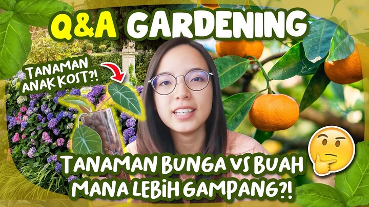 Q&A: Lebih Gampang Bunga/Sayur/Buah? Harga Bibit & Pupuk, Solusi Tanaman Kutuan?!