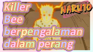 Killer Bee berpengalaman dalam perang