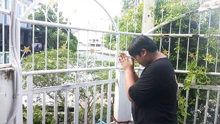 ไหว้พระ