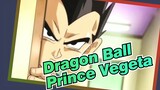 Dragon Ball
Prince Vegeta