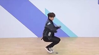 ⚡️Two Tigers Love Dancing⚡️ Ding Zeren