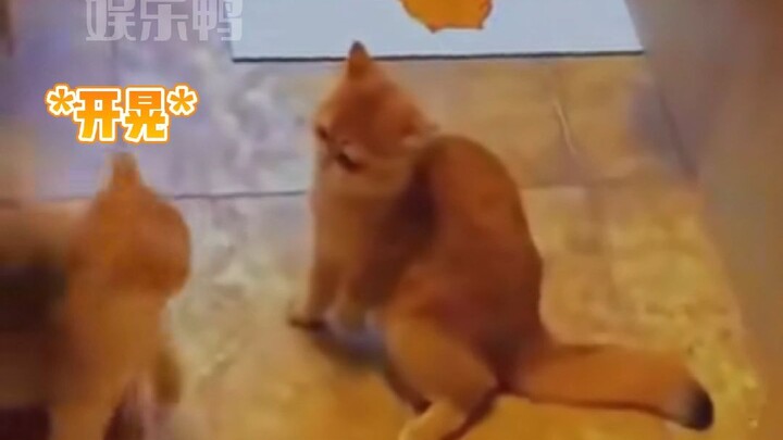 Begitu adu jotos, kepala goyang ke sana-sini; tetap kena gebuk habis-habisan!