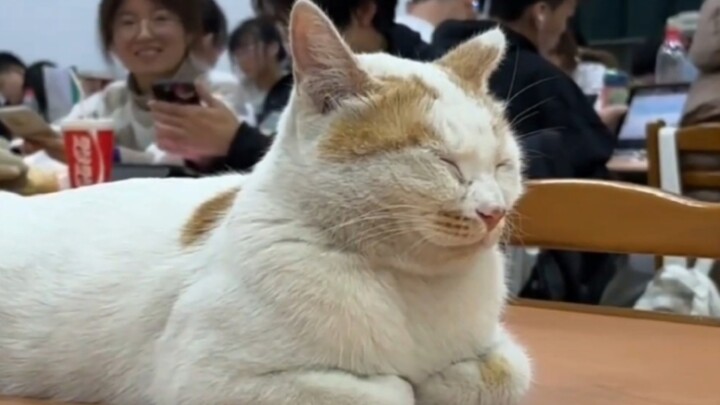 Senior, no wonder you have to retake the course!