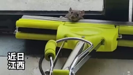 ดูสิ ฉันหัวถึงหมอนก็หลับแล้ว