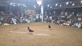 MCCA 3Hits Timbangan 2nd Fight 11/29/25