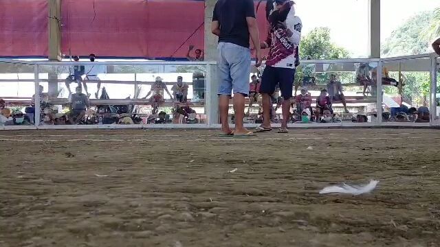 another fantastic white Kelso win