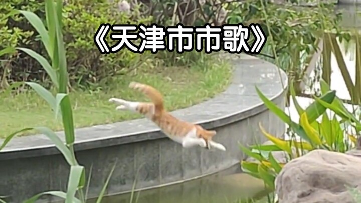 Made it to Tianjin, but didn’t learn a damn thing~