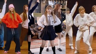 【haerin】ดิทโตะ สามตัว ไลฟ์สดพร้อมกัน เปรียบเทียบหน้าจอเดียวกัน ลูกแมวที่เต้นเก่งที่สุด!