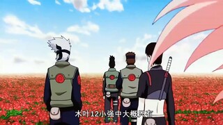 火影忍者：细看鹿丸“咸鱼”的一生，单杀飞段是否拥有影级实力