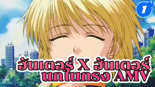 HxH - นกในกรง | ฮันเตอร์ x ฮันเตอร์
/ AMV_1