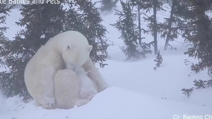 Ada Mama, Sayang jangan takut! 🥰