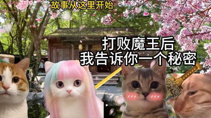 用一生给迟钝的精灵写情书...