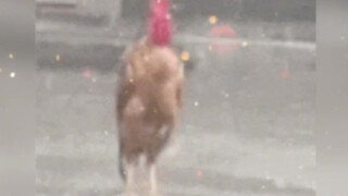 الفريق الذي تحتاجه الشركة والفريق الذي تم توظيفه فعليًا