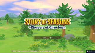 Story Of Season Pioneers Of Olive Town 11