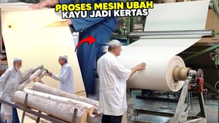 KAYU BATANGAN JADI KERTAS MAHALl! Begini Proses Mesin Pembuatan Kertas Dari Kayu