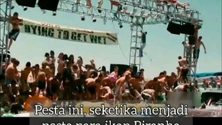 film Piranha part 1