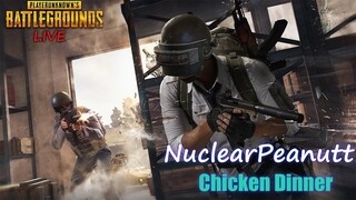 PUBG PC LIVE INDIA NUCLEARPEANUTT | HOW WAS YOUR DAY?