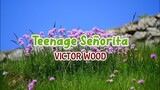 Teenage Señorita - Victor Wood | Karaoke Version