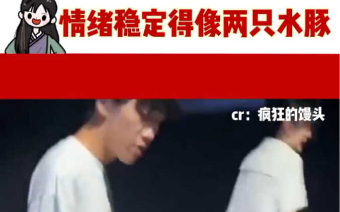 Con trai lúc nào cũng ổn định cảm xúc vậy sao? Giống hệt hai chú lợn nước ấy!