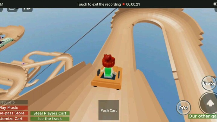 alpine  slide
