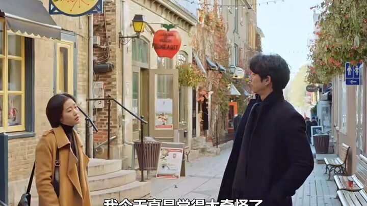 枫叶国“偶然”的相遇！