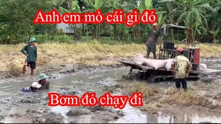 Cảnh Xe kéo Lúa Giữa Đồng Gặp Được Báo Vật Quý , Anh em  Súm Lại mò Cái Kết