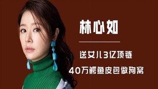 40万鳄鱼皮包做狗窝，送女儿3亿项链，林心如到底有多壕？