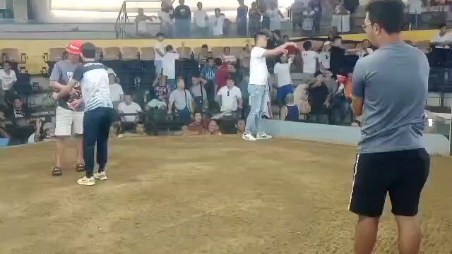 Boston x Yellow Legged Hatch 2nd Win