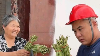 حبوب الفاصوليا التي لا يمكن تناولها全部