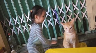 Dẻ bị đột kích khi ăn bánh tráng trộn Rạch Giá