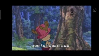 Ternyata Luffy Kolektor Kumbang Sejati