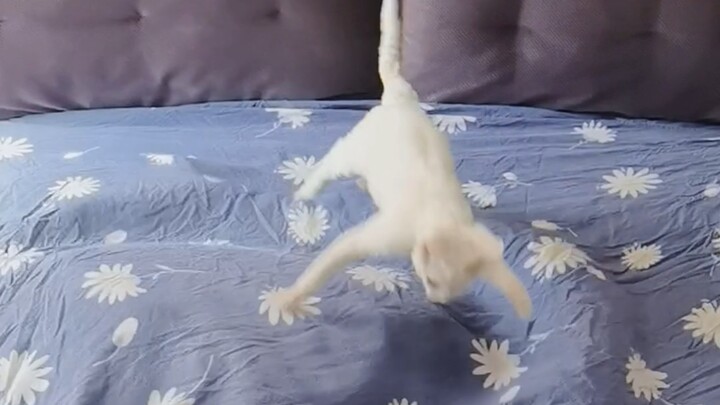 الروتين اليومي لأسرة مقاتلة تغيّر ملاءات السرير