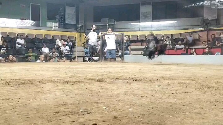 Win SBR ALAGANG THUNDERBIRD