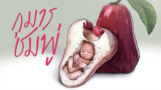 กุมารชมพู่