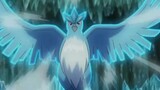 [AMV]Chiến đấu với Articuno sức mạnh trong <Pokémon>
