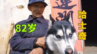 82岁老人养哈士奇，这画风，跟我想的不太一样