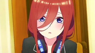 [AMV] Nakano Miku Edit