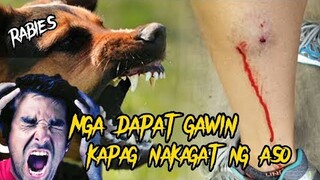 MGA DAPAT GAWIN KAPAG NAKAGAT NG ASO AT MGA IMPORMASYON TUNGKOL SA NAKAMAMATAY NA RABIES | Tenrou21