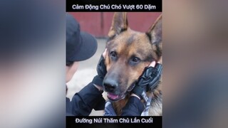 xuhuongtiktok phimhay xuhuong phim bietdoinuchienlang chó_cưng TikTokTet2022 TikTokSoiPhim