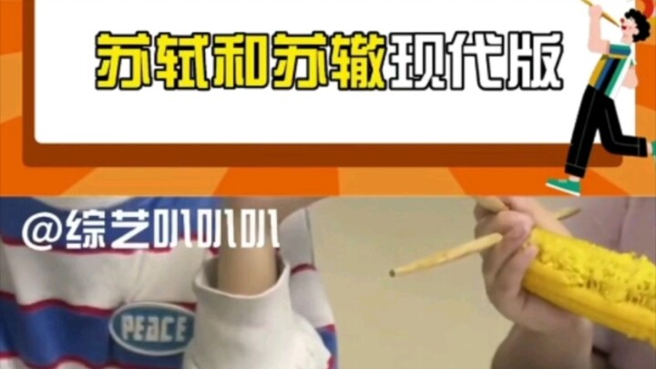 Su Shi and Su Zhe: A Modern Version