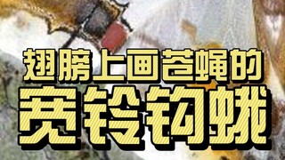 A moth that draws flies on its wings—Broad-banded Hook-tip Moth