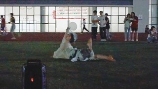 操场上从不缺舞者