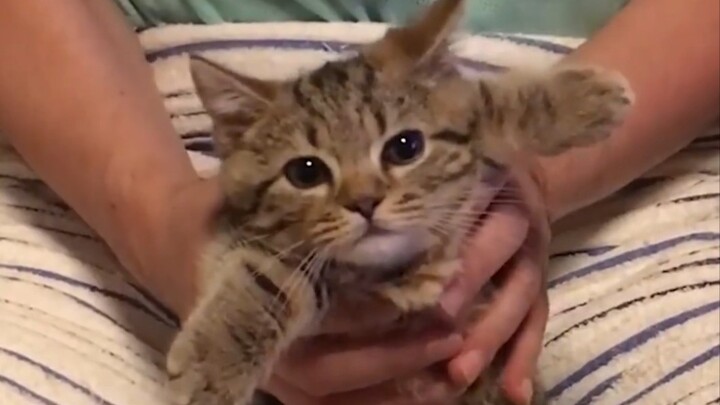 Imut, lemah, dan dipermainkan orang