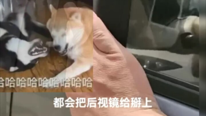 Được rồi, giờ thì kiểu gì bạn cũng phải sắm một cái thôi.