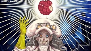 Khởi Nguồn Trái Ác Quỷ Hệ GOD- - 4 Vị Thần Tồn Tại Trong One Piece-P5