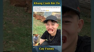 Funny Meme, Ảnh Chế Hài Hước (P48) #shorts #memes #viral #fails #funny #photoshop