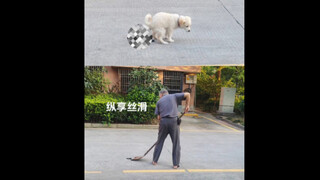 Puppy poops, Grandpa shovels, Grandpa cleans up the puppy's mess